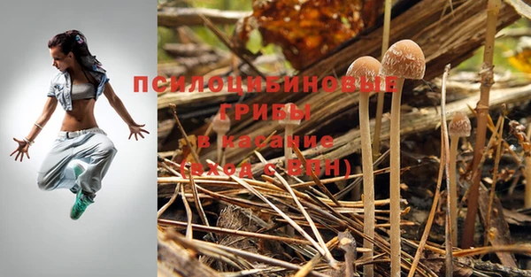 прущий лед Алексеевка